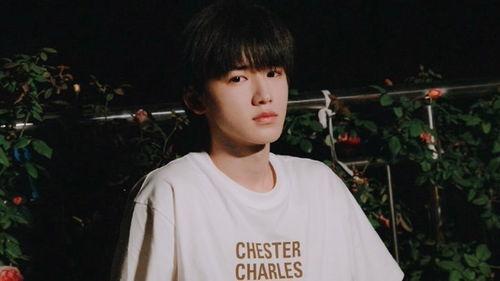 张真源私生爆料最新视频,揭秘明星私生活背后的真相